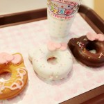Sanrio Puroland 13