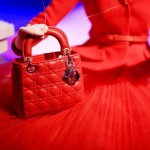 Dior x printemps 34