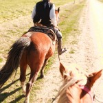 Estantia-El-Ombu-San-Antonio-De-Areco-Argentina-44
