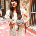 The Cherry Blossom Girl - Alligators 08