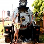 The Cherry Blossom Girl - Valle de los Ingenios 08