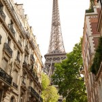 The cherry blossom Girl - Paris SBSR 12