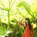 The Cherry Blossom Girl - Thumbelina 04