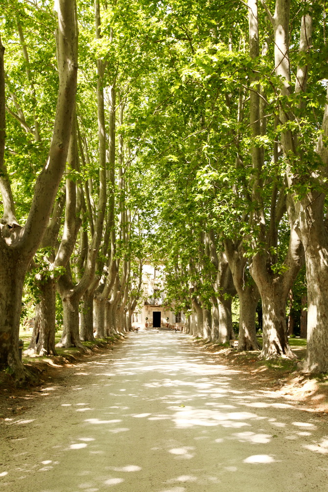 The Cherry Blossom Girl - ChÃ¢teau des Alpilles 13