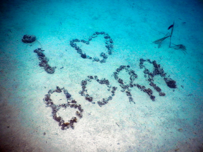 The Cherry Blossom Girl - Bora Bora 05