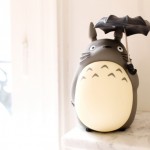 The Cherry Blossom Girl - Totoro