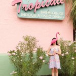 The Cherry Blossom Girl - Tropicale 01