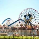 The Cherry Blossom Girl - California Adventure 19