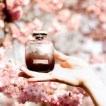 The Cherry Blossom Girl - Nina l'Extase 04