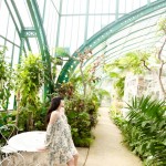 The Cherry Blossom Girl - Serres d'Auteuil 10