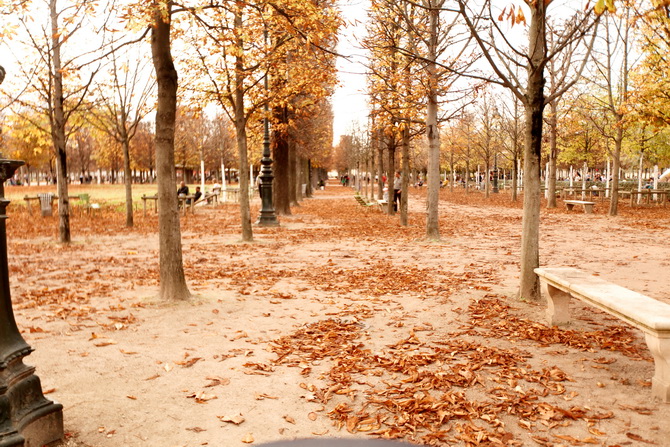 The Cherry Blossom Girl - All the leaves are brown 09