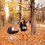 The Cherry Blossom Girl - All the leaves are brown 16