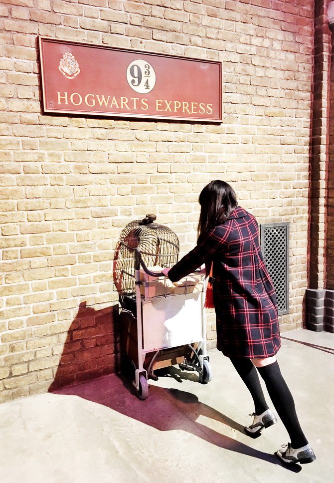 The Cherry Blossom Girl - Harry Potter Studio Tour 30