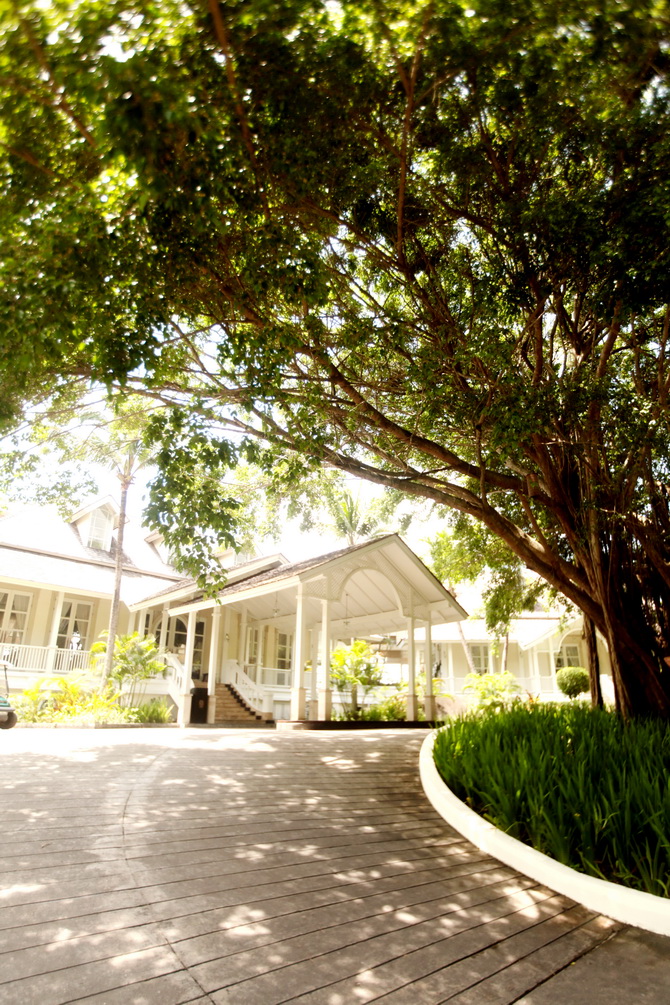 The Cherry Blossom Girl - Banyan Tree Seychelles 17