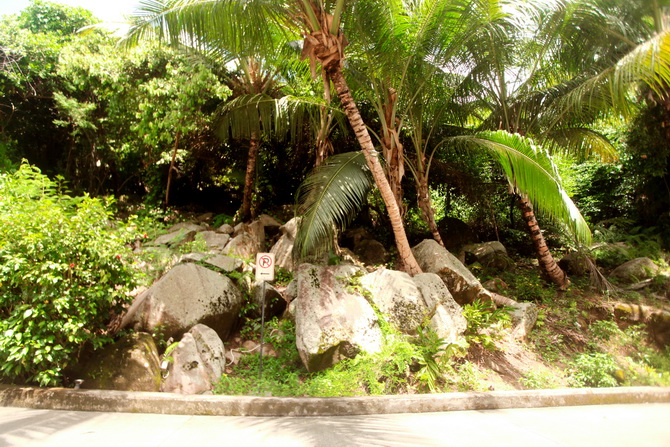 The Cherry Blossom Girl - Banyan Tree Seychelles 35