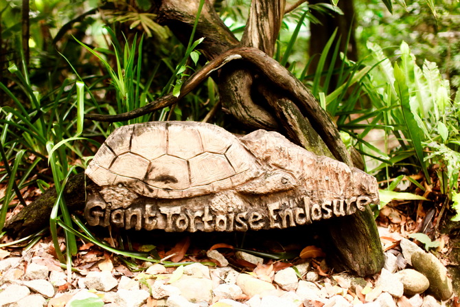 The Cherry Blossom Girl - Banyan Tree Seychelles 44