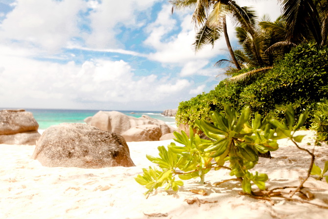 The Cherry Blossom Girl - Banyan Tree Seychelles 78