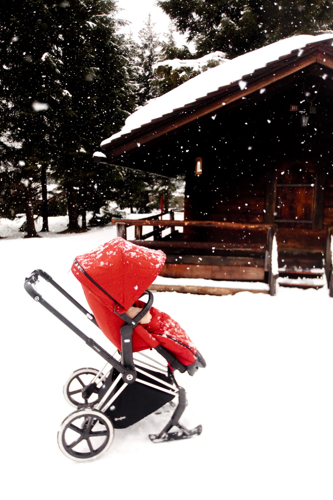 The Cherry Blossom Girl - Chamonix 02