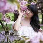 The Cherry Blossom Girl - Pauline Darley Cherry Blossoms 03