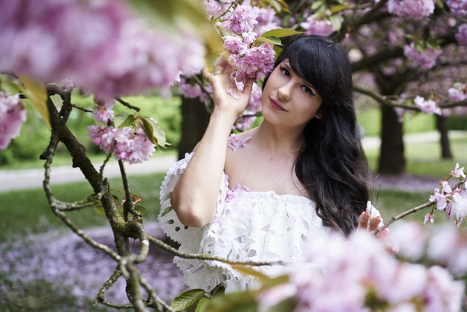 The Cherry Blossom Girl - Pauline Darley Cherry Blossoms 03