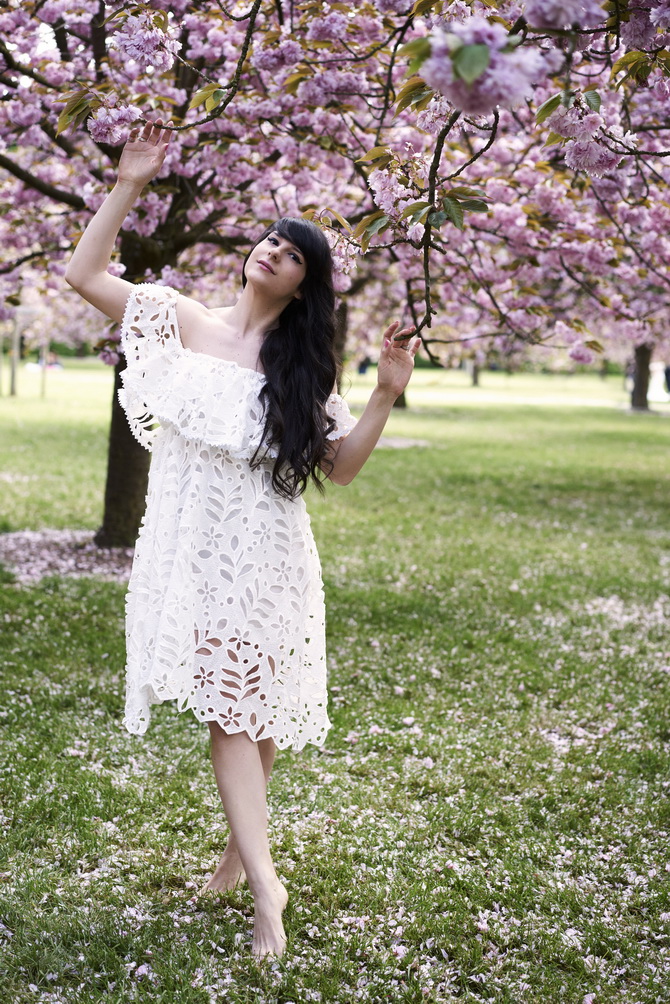 The Cherry Blossom Girl - Pauline Darley Cherry Blossoms 09
