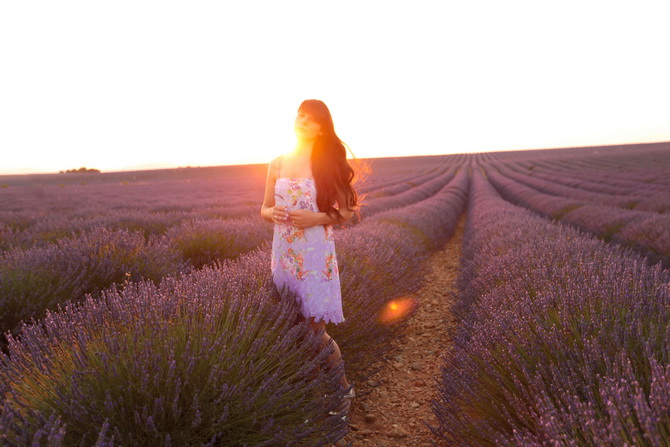 The Cherry Blossom Girl - valensole sunset 02