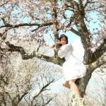 blossom-tree-5-520x833