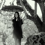 umbrella-63-519x800