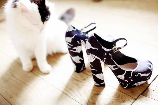 Обувь Коты Фото – Telegraph