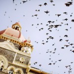 Mumbai-80