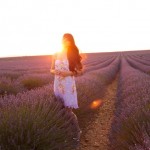 The Cherry Blossom Girl - valensole sunset 02